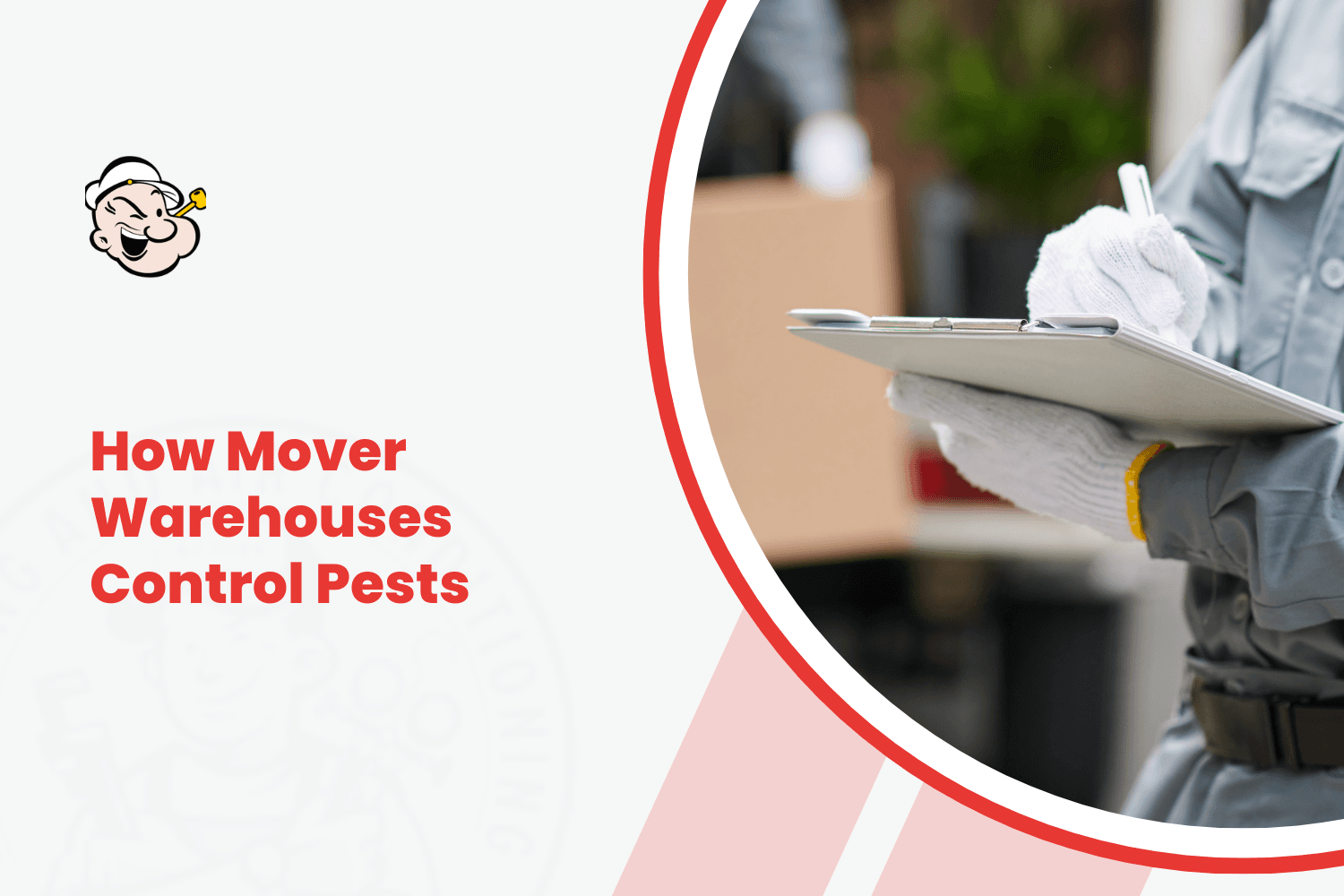 Pest control inspector in gloves holding clipboard near moving boxes in warehouse
