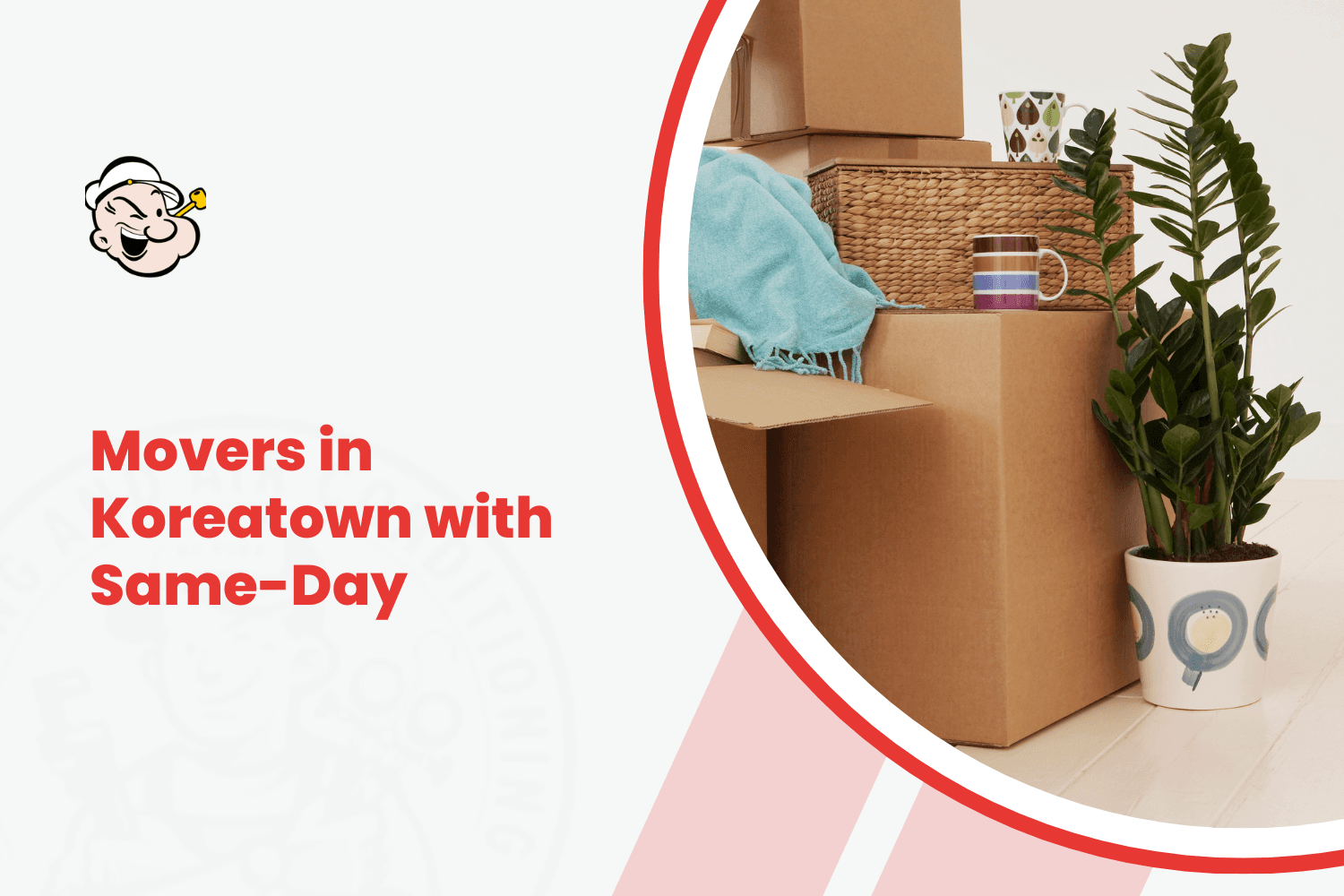 Koreatown movers same-day service with packed cardboard boxes and houseplant ready